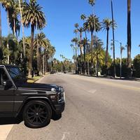 Отзыв от Михаил - DTV виза